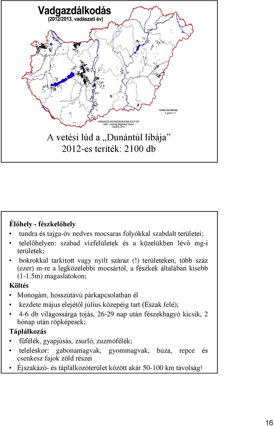 5m) magaslatokon; Költés Monogám, hosszútávú párkapcsolatban él kezdete május elejétől július közepéig tart (Észak felé); 4-6 db világossárga tojás, 26-29 nap után fészekhagyó kicsik, 2