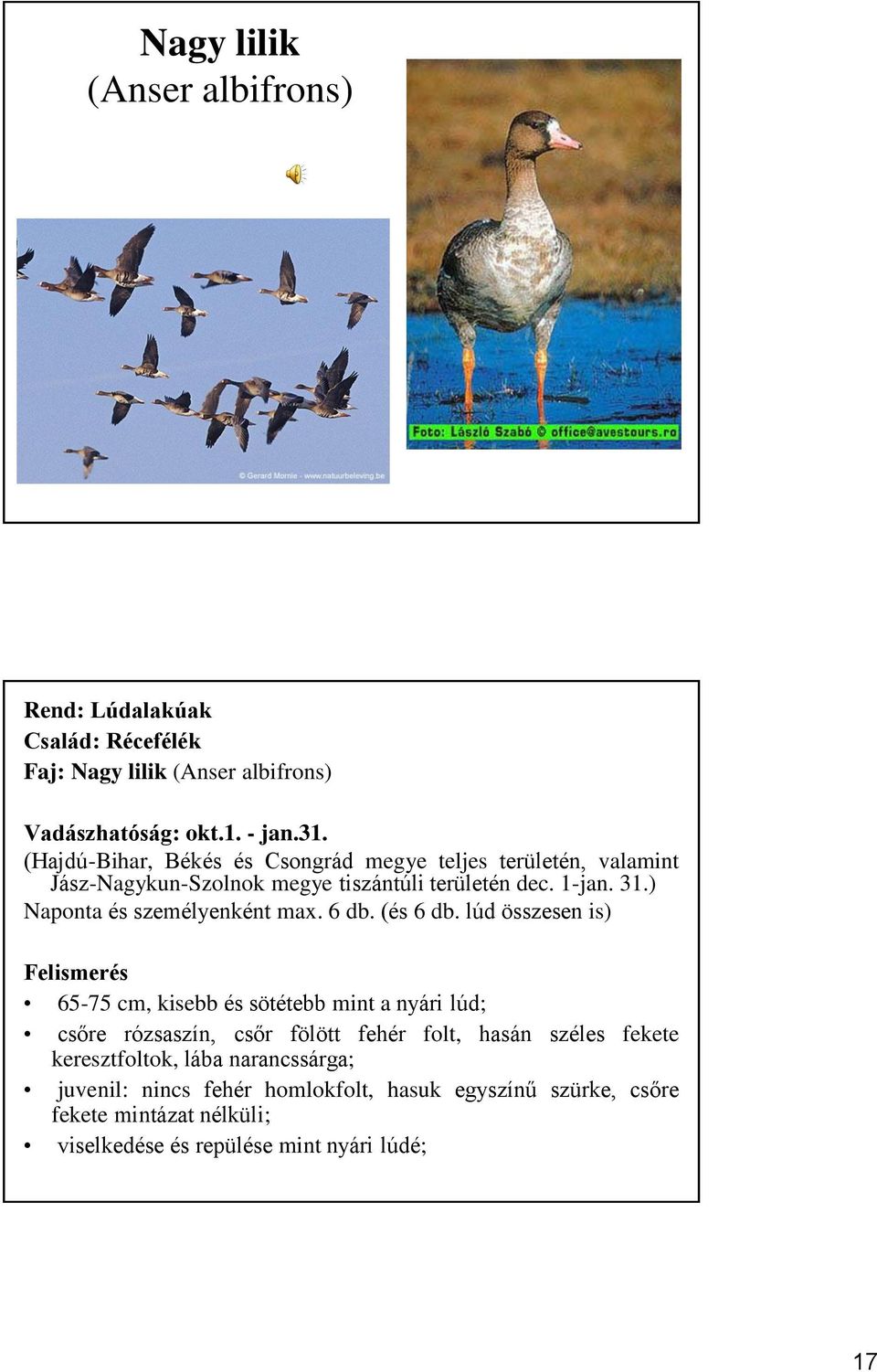 ) Naponta és személyenként max. 6 db. (és 6 db.