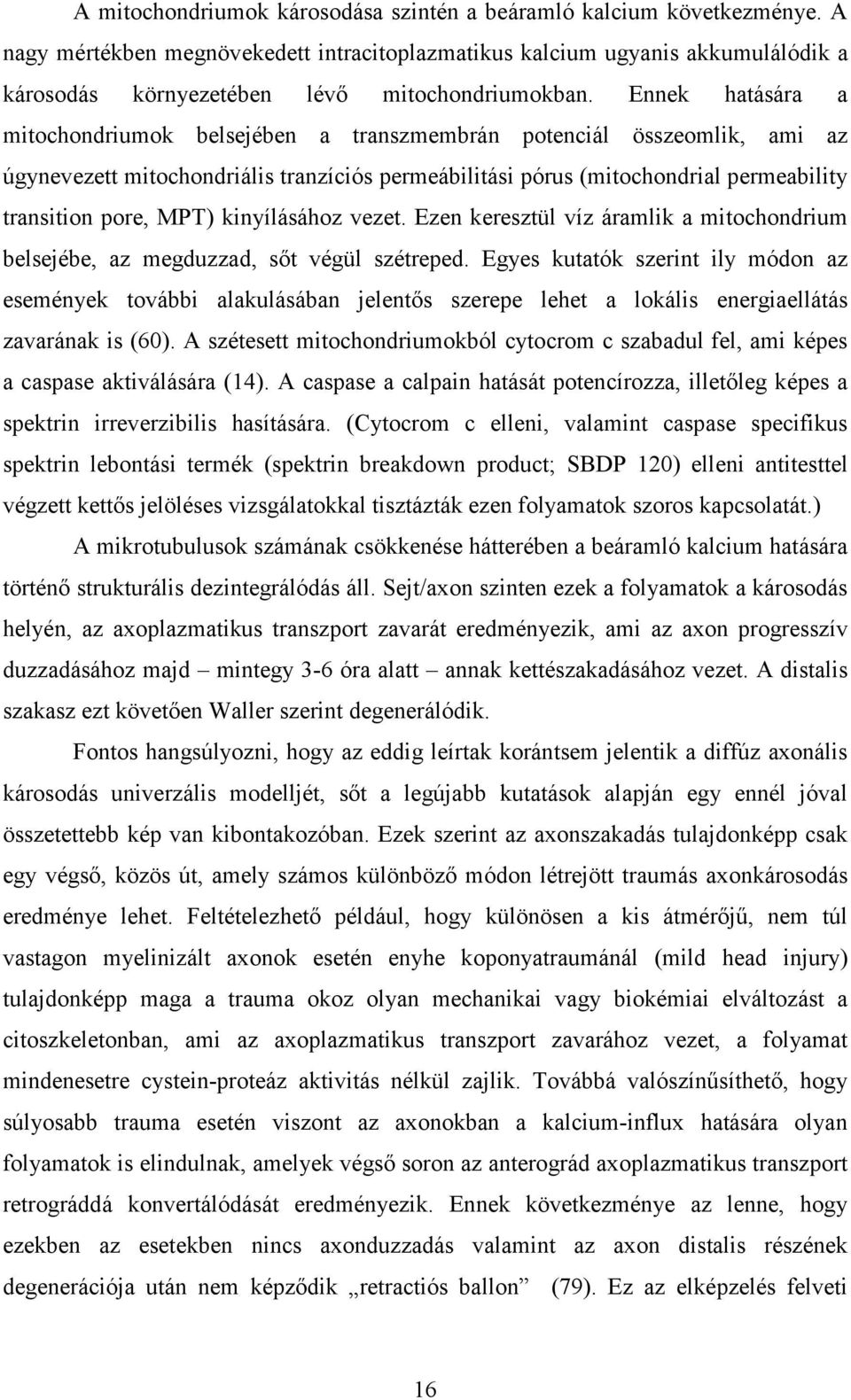 Ennek hatására a mitochondriumok belsejében a transzmembrán potenciál összeomlik, ami az úgynevezett mitochondriális tranzíciós permeábilitási pórus (mitochondrial permeability transition pore, MPT)