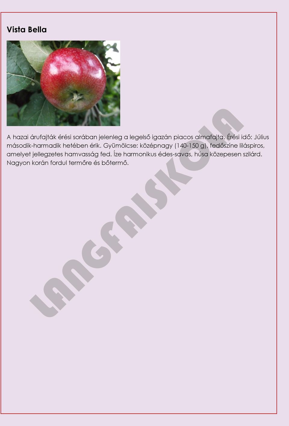 Gyümölcse: középnagy (140-150 g), fedőszíne liláspiros, amelyet jellegzetes