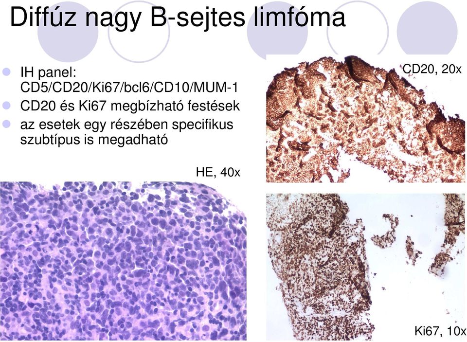 megbízható festések az esetek egy részében