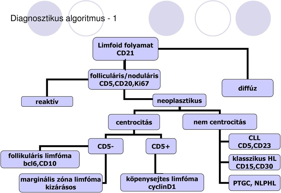 follikuláris limfóma bcl6,cd10 CD5- CD5+ CLL CD5,CD23 klasszikus HL