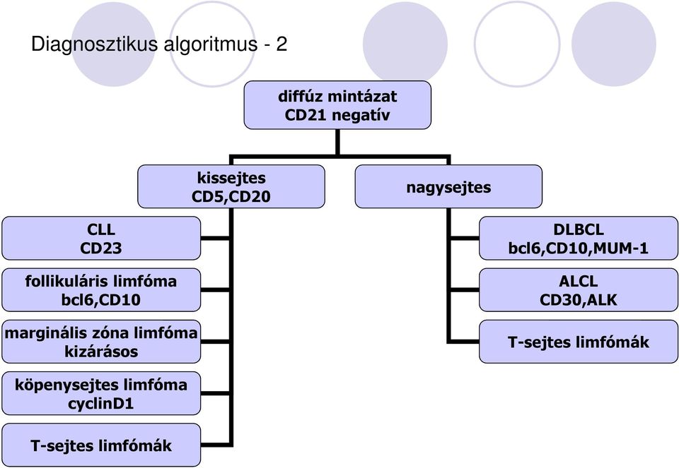 bcl6,cd10 marginális zóna limfóma kizárásos DLBCL bcl6,cd10,mum-1