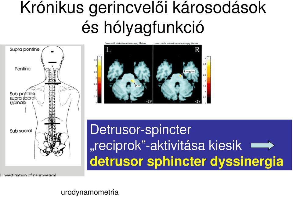 reciprok -aktivitása kiesik