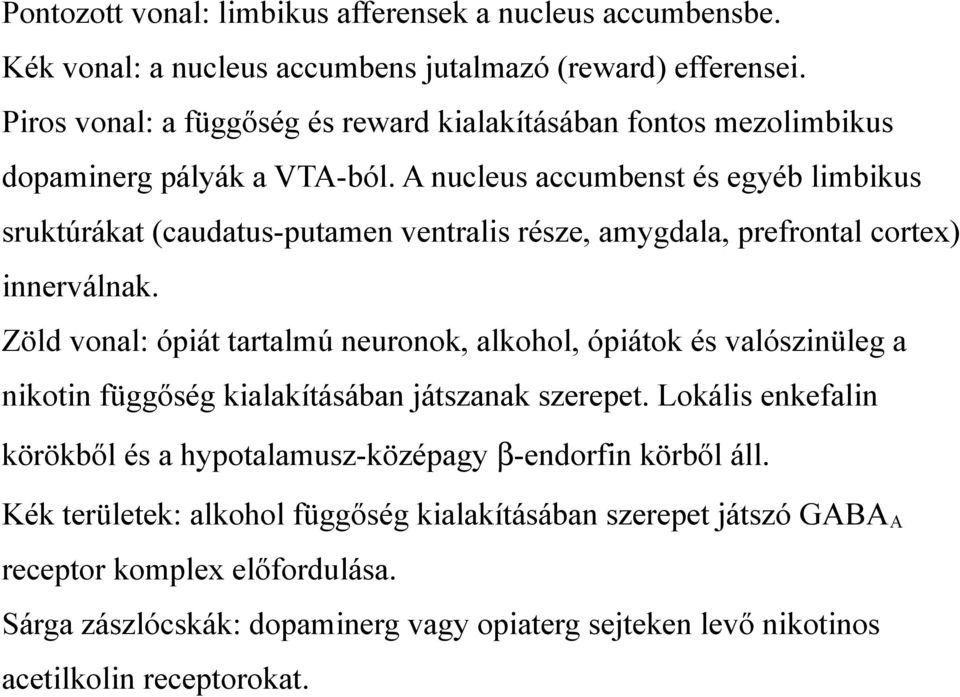 A nucleus accumbenst és egyéb limbikus sruktúrákat (caudatus-putamen ventralis része, amygdala, prefrontal cortex) innerválnak.