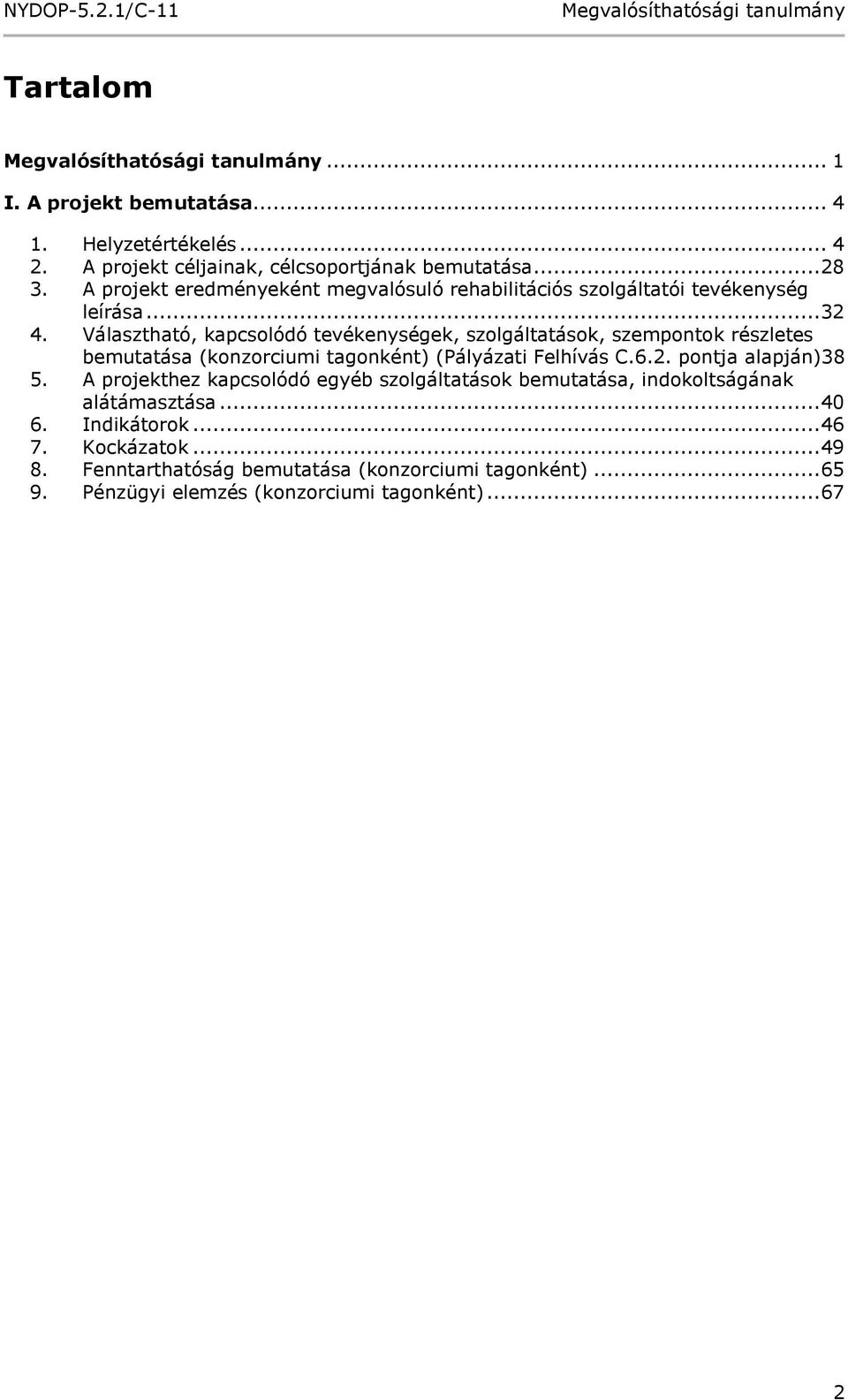 Választható, kapcsolódó tevékenységek, szolgáltatások, szempontok részletes bemutatása (konzorciumi tagonként) (Pályázati Felhívás C.6.2.