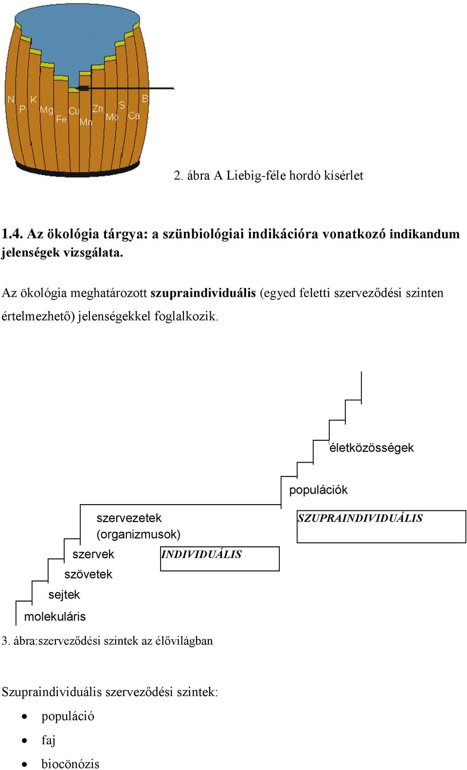 Az ökológia meghatározott szupraindividuális (egyed feletti szerveződési szinten értelmezhető) jelenségekkel foglalkozik.