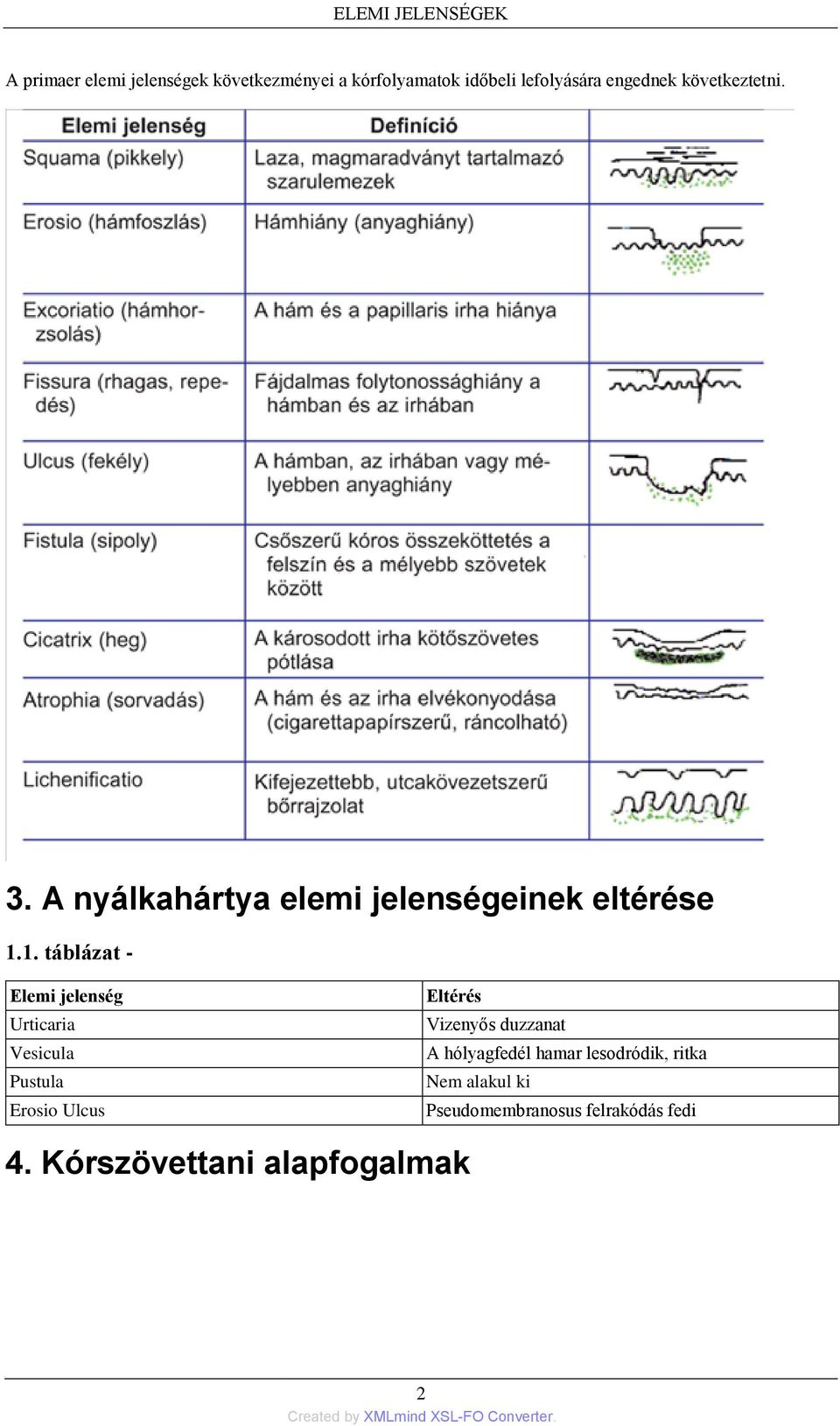 1. táblázat - Elemi jelenség Urticaria Vesicula Pustula Erosio Ulcus Eltérés Vizenyős duzzanat