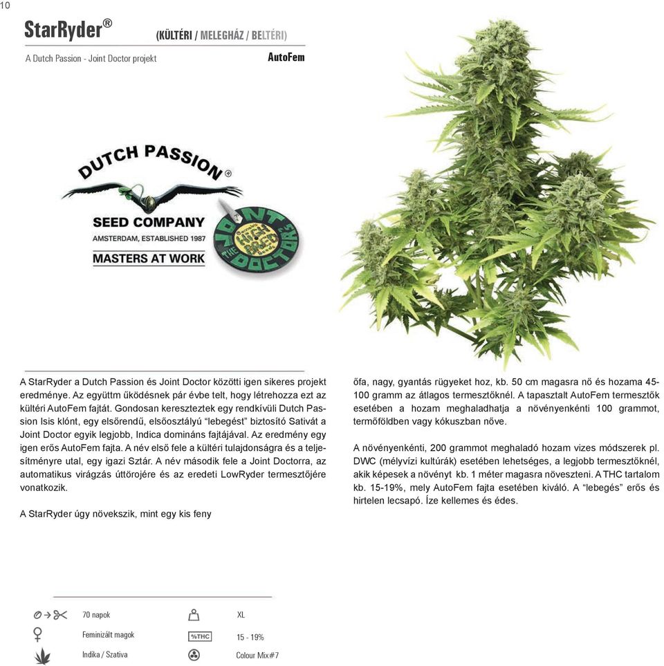 Gondosan kereszteztek egy rendkívüli Dutch Passion Isis klónt, egy elsőrendű, elsőosztályú lebegést biztosító Sativát a Joint Doctor egyik legjobb, Indica domináns fajtájával.