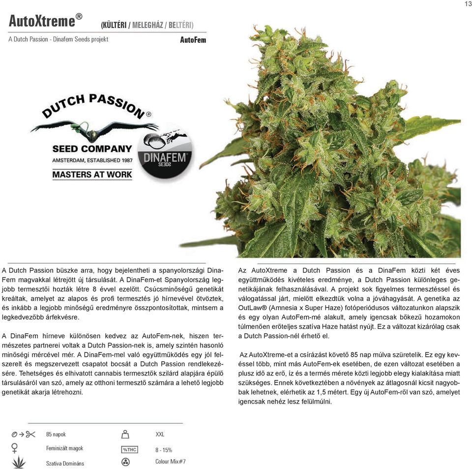 Csúcsminőségű genetikát kreáltak, amelyet az alapos és profi termesztés jó hírnevével ötvöztek, és inkább a legjobb minőségű eredményre összpontosítottak, mintsem a legkedvezőbb árfekvésre.