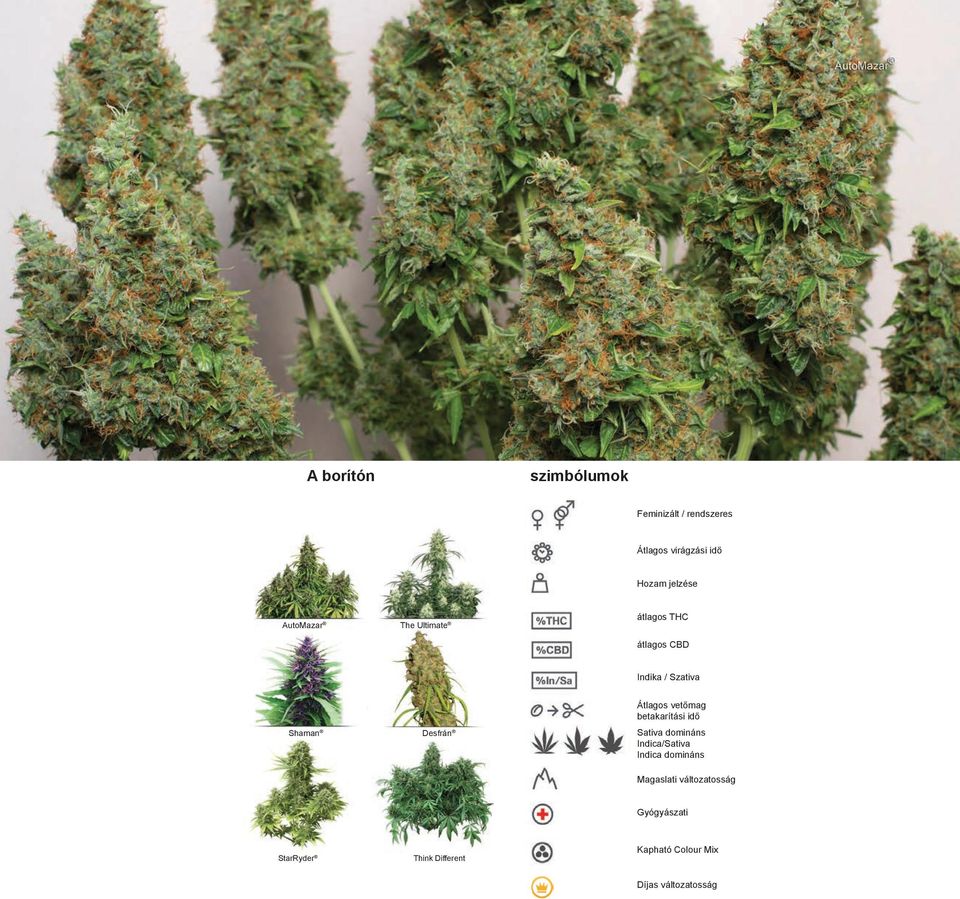 Átlagos vetőmag betakarítási idő Sativa domináns Indica/Sativa Indica domináns