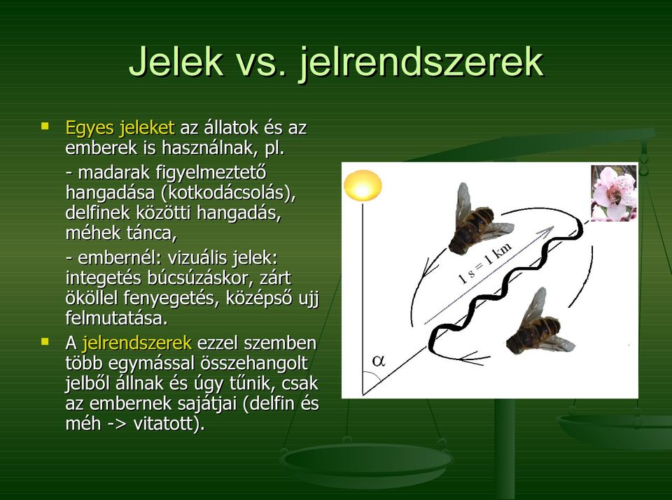 vizuális jelek: integetés búcsúzáskor, zárt ököllel fenyegetés, középső ujj felmutatása.