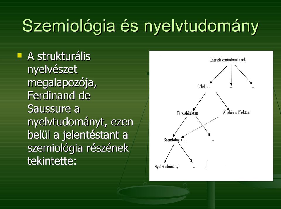Ferdinand de Saussure a nyelvtudományt,