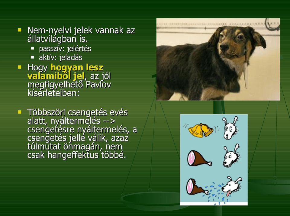 megfigyelhető Pavlov kísérleteiben: Többszöri csengetés evés alatt,