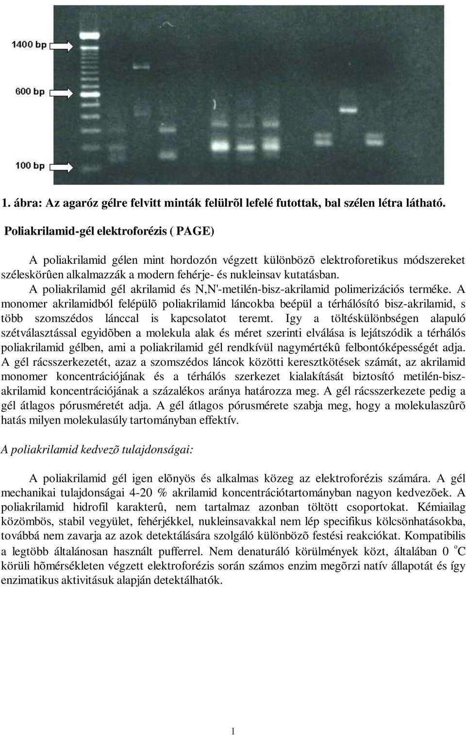 A poliakrilamid gél akrilamid és N,N'-metilén-bisz-akrilamid polimerizációs terméke.