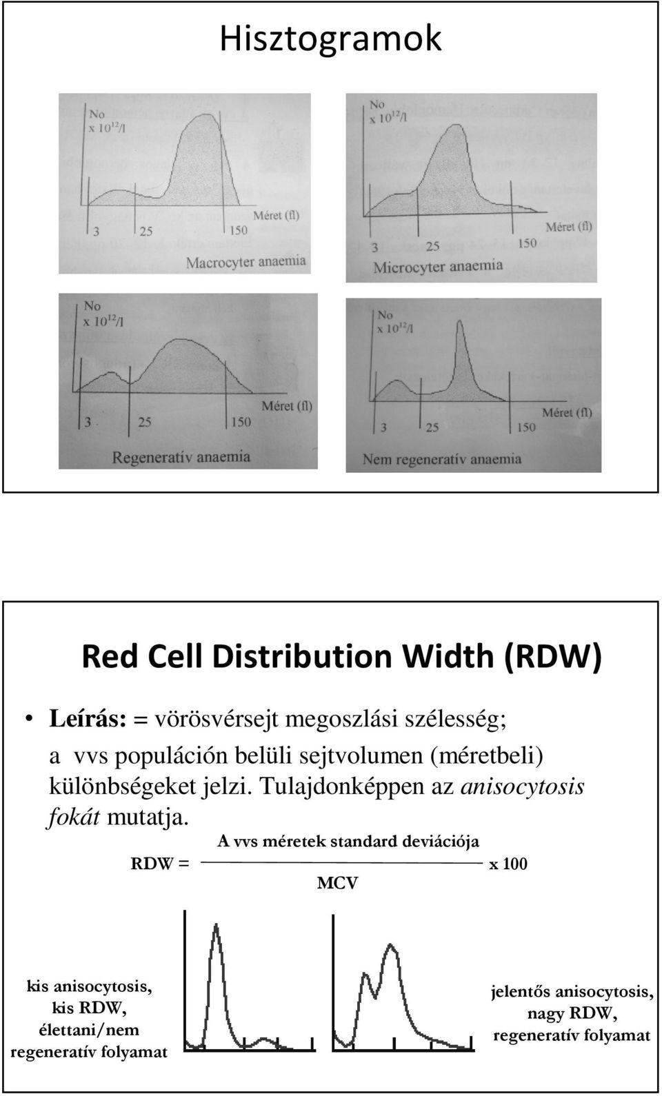 Tulajdonképpen az anisocytosis fokát mutatja.