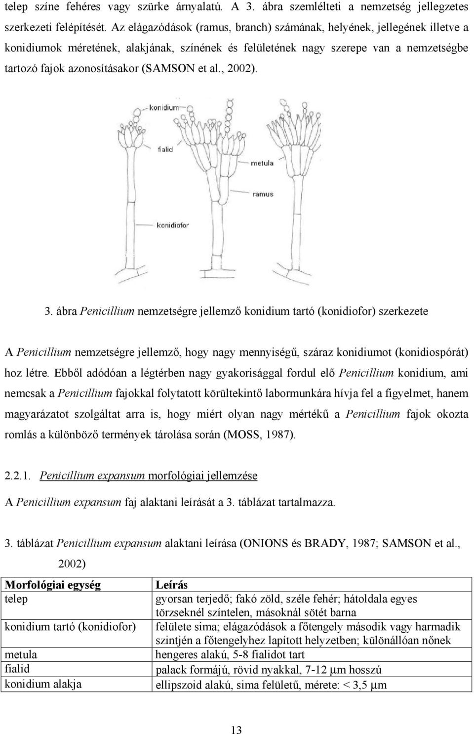 et al., 2002). 3. ábra Penicillium nemzetségre jellemz9 konidium tartó (konidiofor) szerkezete A Penicillium nemzetségre jellemz9, hogy nagy mennyiség<, száraz konidiumot (konidiospórát) hoz létre.