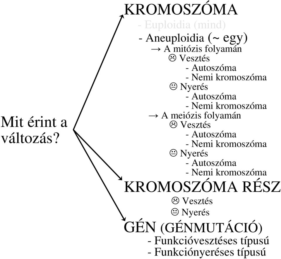 Autoszóma - Nemi kromoszóma Nyerés - Autoszóma - Nemi kromoszóma A meiózis folyamán