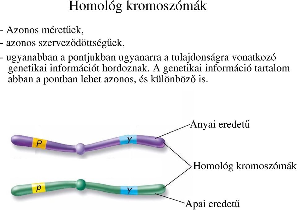 információt hordoznak.