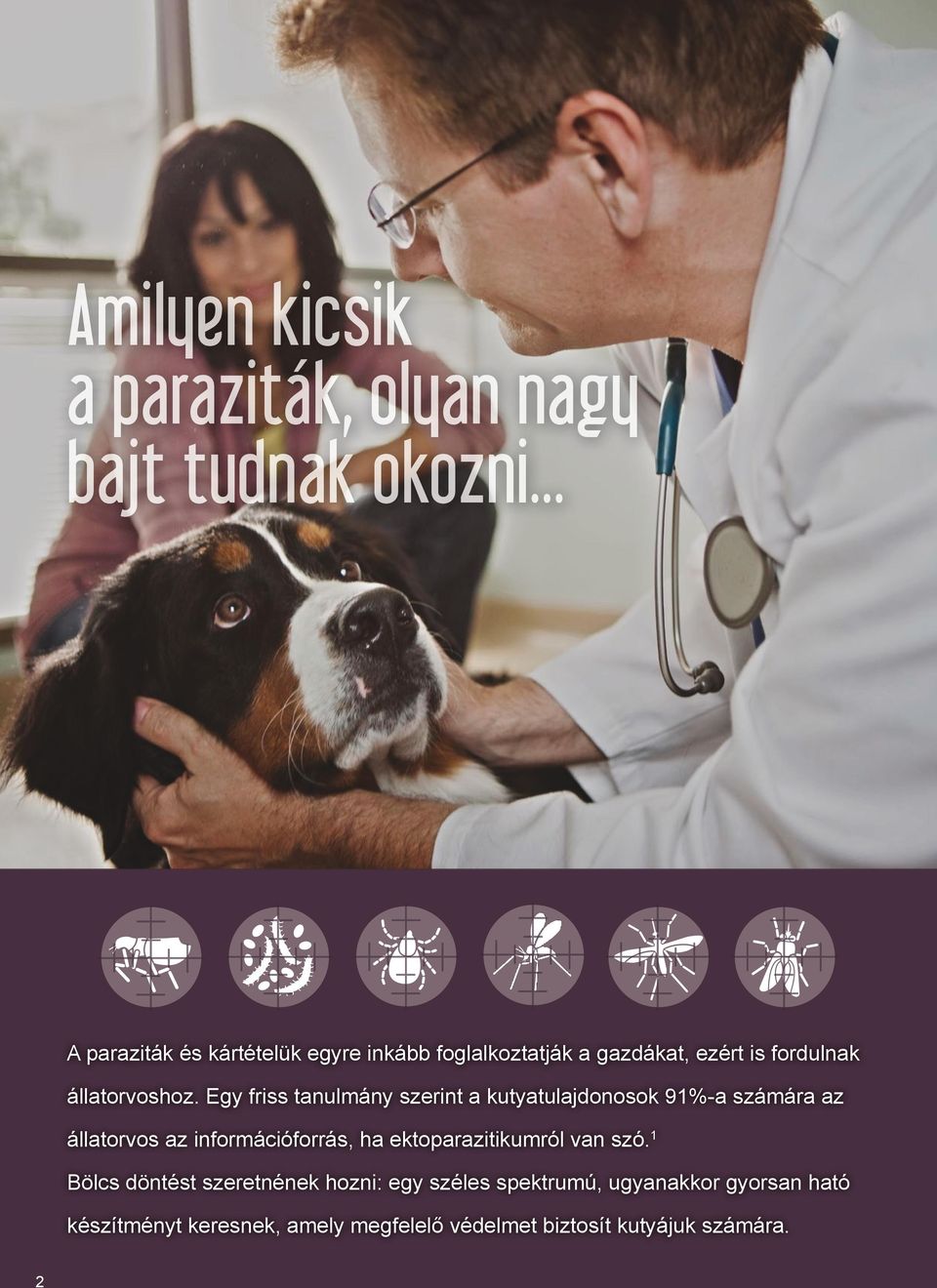 Egy friss tanulmány szerint a kutyatulajdonosok 91%-a számára az állatorvos az információforrás, ha