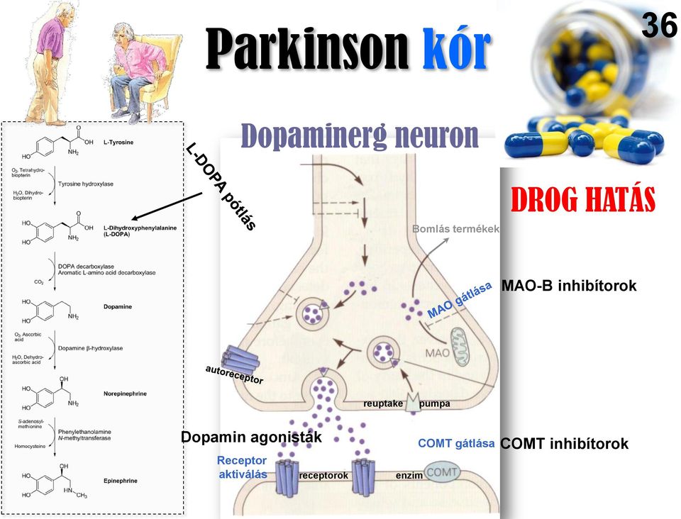 reuptake pumpa Dopamin agonisták Receptor