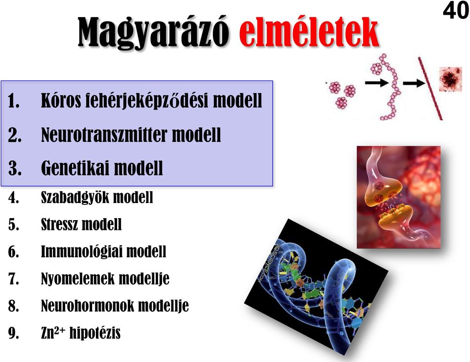 Szabadgyök modell 5. Stressz modell 6.