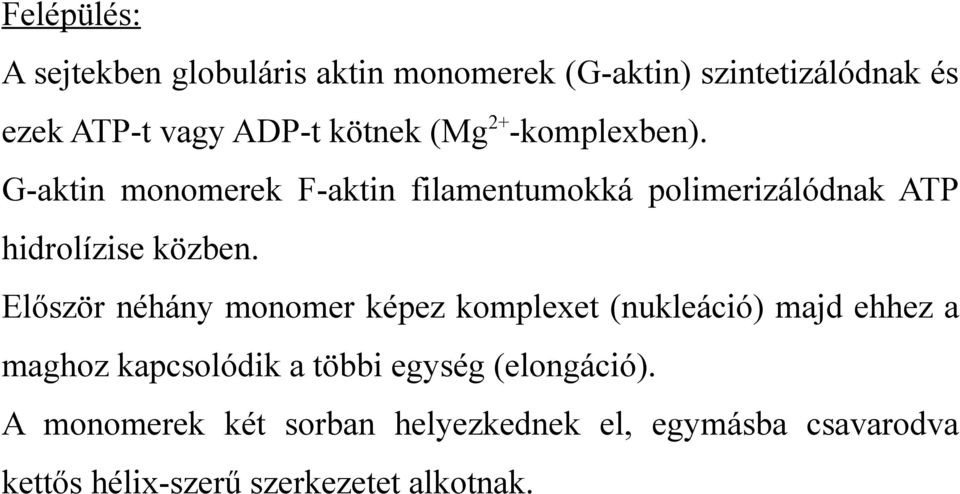 G-aktin monomerek F-aktin filamentumokká polimerizálódnak ATP hidrolízise közben.
