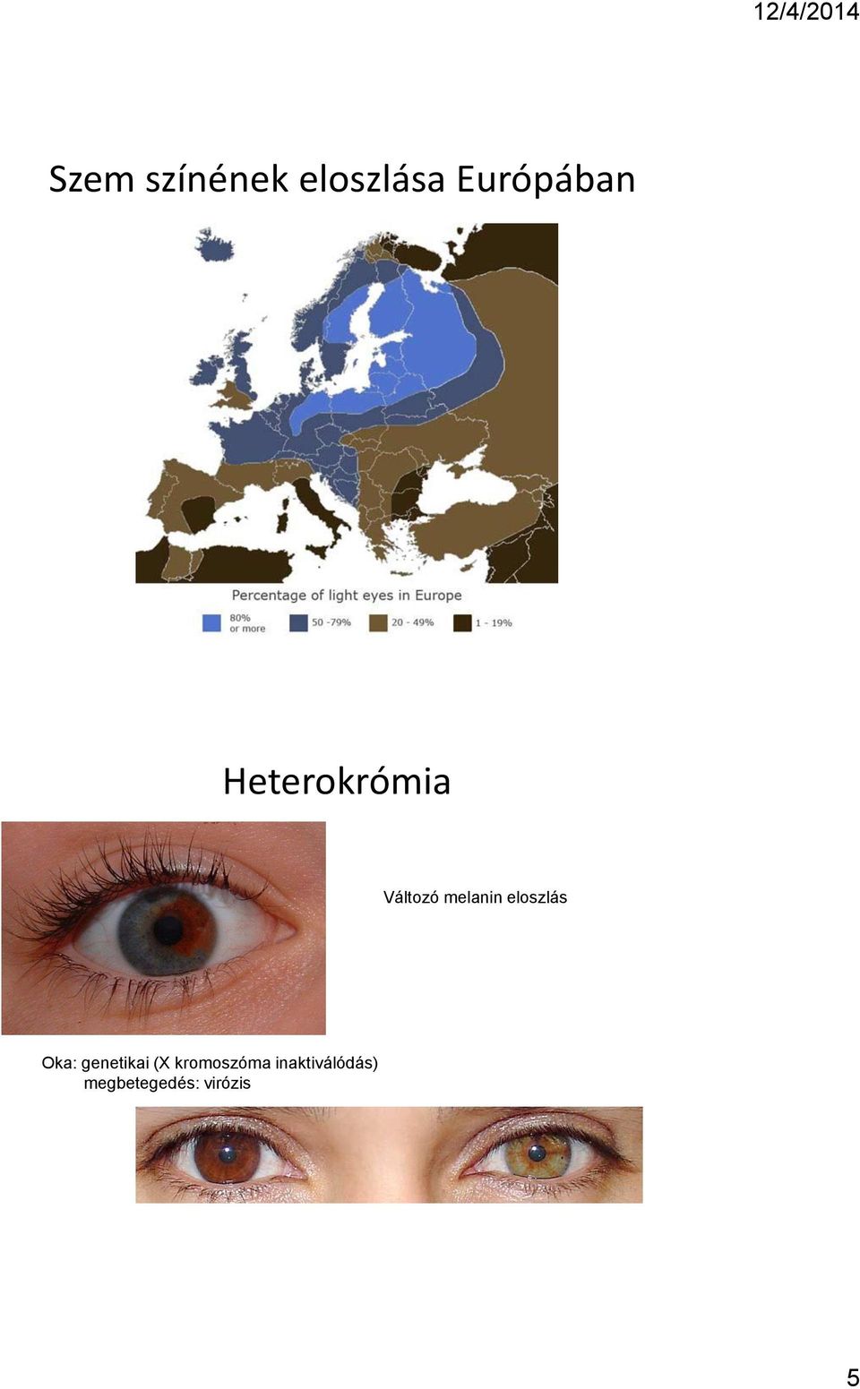 eloszlás Oka: genetikai (X