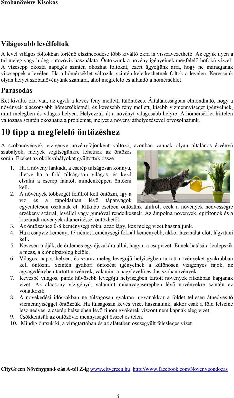 2014. Szobanövény Kisokos. Fábián Tímea Eszter CityGreen Növénygondozás  A-tól Z-ig - PDF Free Download