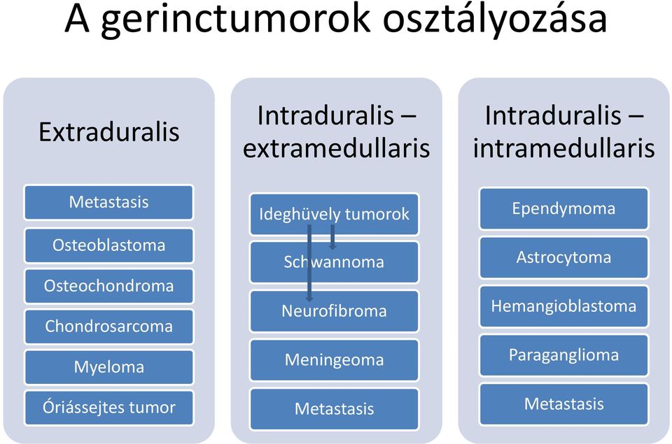 Chondrosarcoma Myeloma Óriássejtes tumor Ideghüvely tumorok Schwannoma