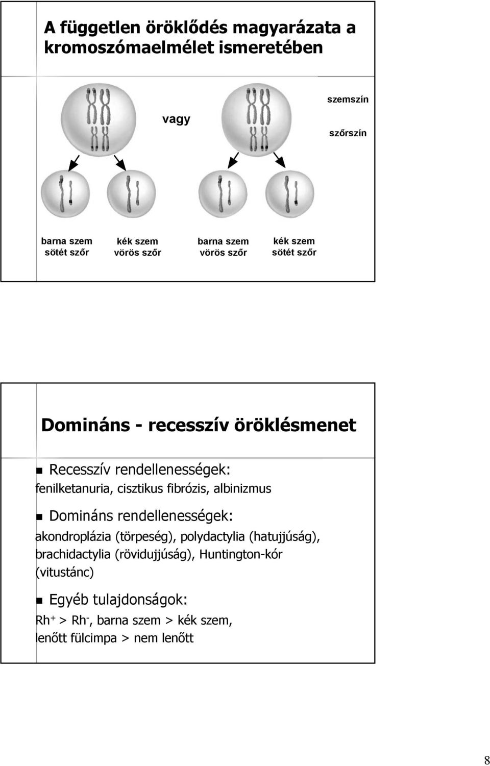 cisztikus fibrózis,, albinizmus Domináns rendellenességek: akondroplázia (törpeség), polydactylia (hatujjúság), brachidactylia