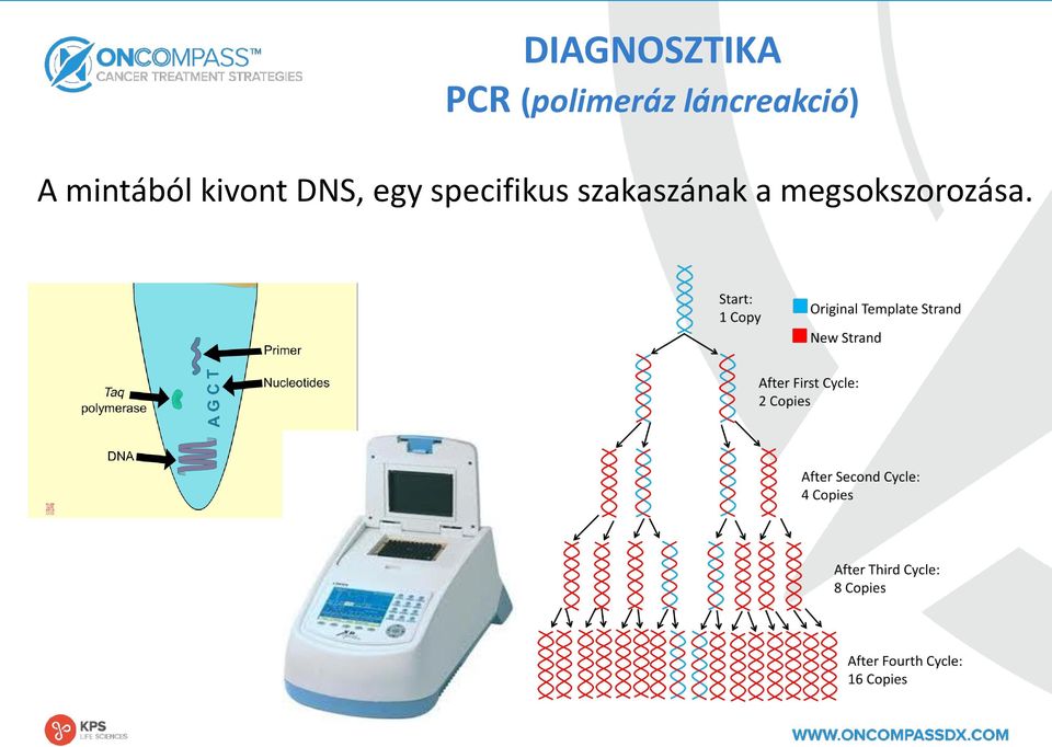 kivont DNS, egy specifikus