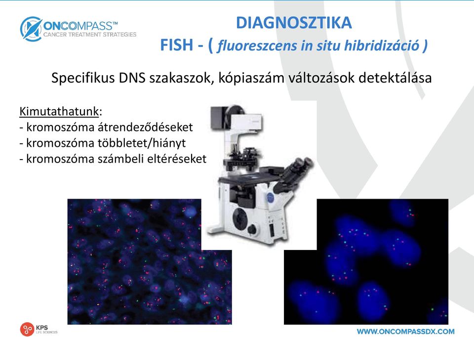 detektálása Kimutathatunk: - kromoszóma átrendeződéseket