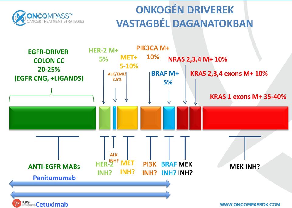 2,5% PIK3CA M+ MET+ 10% NRAS 2,3,4 M+ 10% 5-10% KRAS 2,3,4 exons M+ 10% BRAF M+