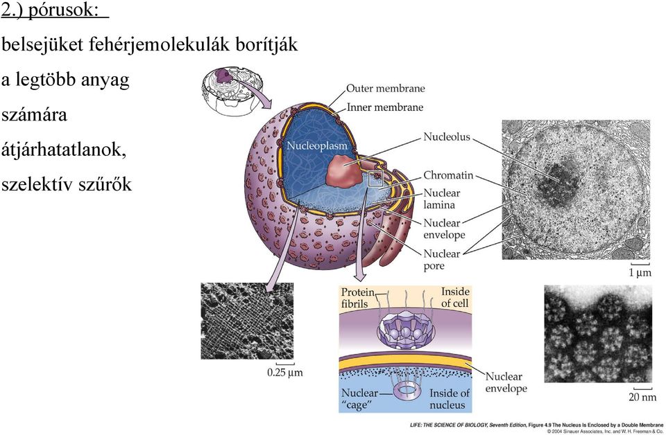 a legtöbb anyag számára