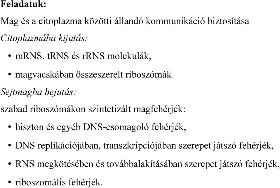 szintetizált magfehérjék: hiszton és egyéb DNS-csomagoló fehérjék, DNS replikációjában,