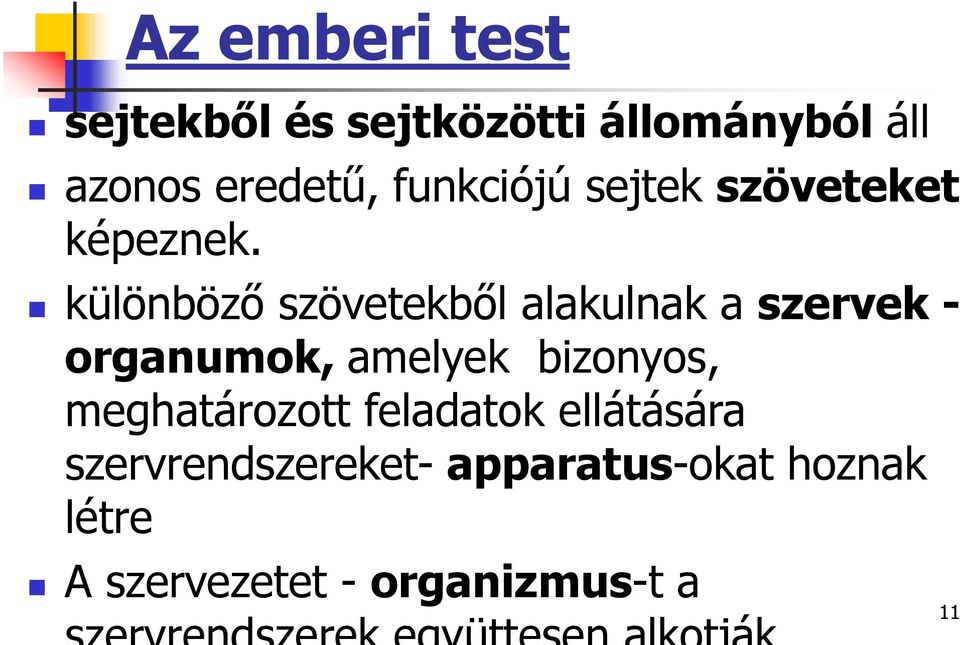 különböző szövetekből alakulnak a szervek - organumok, amelyek bizonyos,