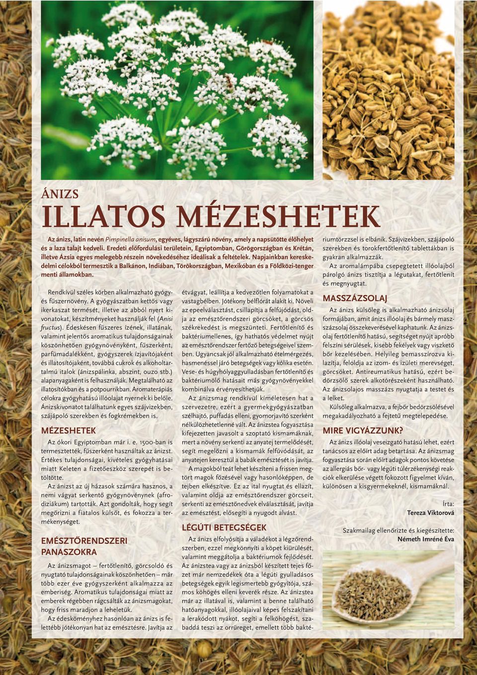 Napjainkban kereskedelmi célokból termesztik a Balkánon, Indiában, Törökországban, Mexikóban és a Földközi-tenger menti államokban. Rendkívül széles körben alkalmazható gyógyés fûszernövény.