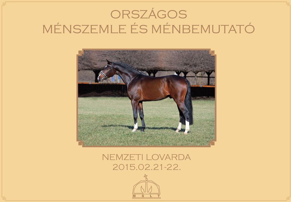 MÉNBEMUTATÓ