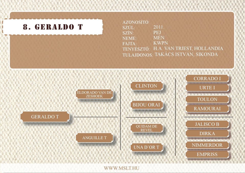 SIKONDA GERALDO T ELDORADO VAN DE ZESHOEK ANGUILLE T CLINTON BIJOU ORAI