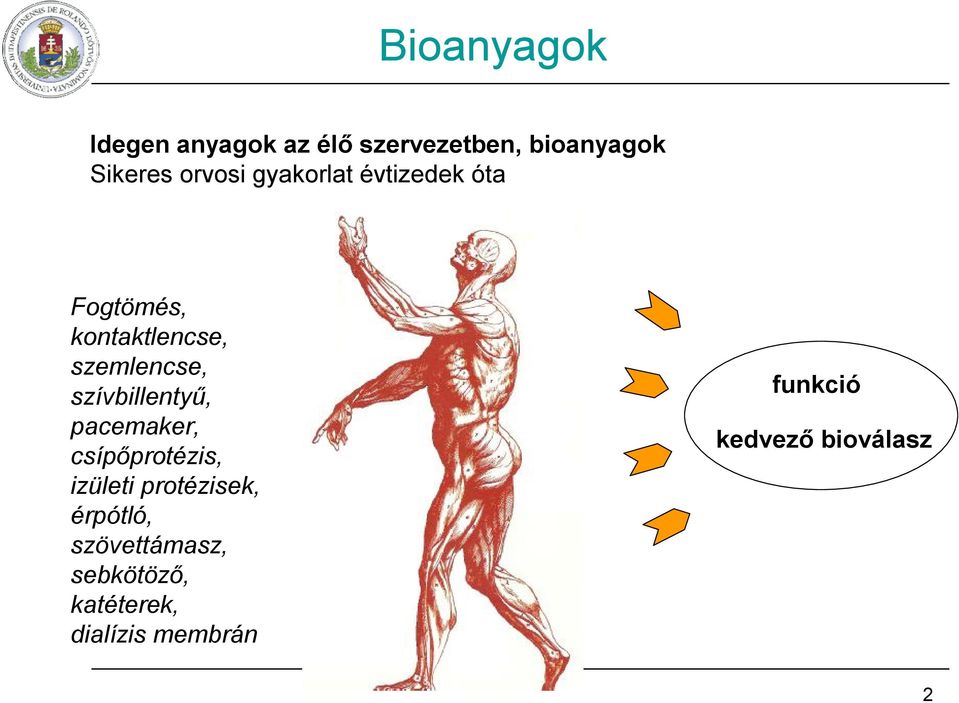 szívbillentyű, pacemaker, csípőprotézis, izületi protézisek, érpótló,