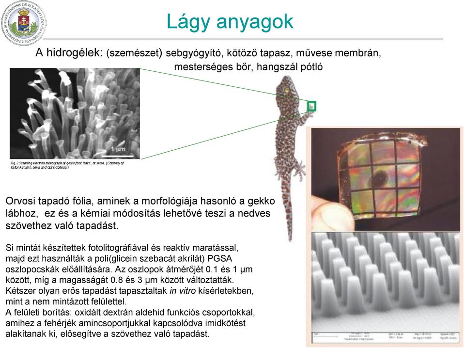 Si mintát készítettek fotolitográfiával és reaktív maratással, majd ezt használták a poli(glicein szebacát akrilát) PGSA oszlopocskák előállítására. Az oszlopok átmérőjét 0.