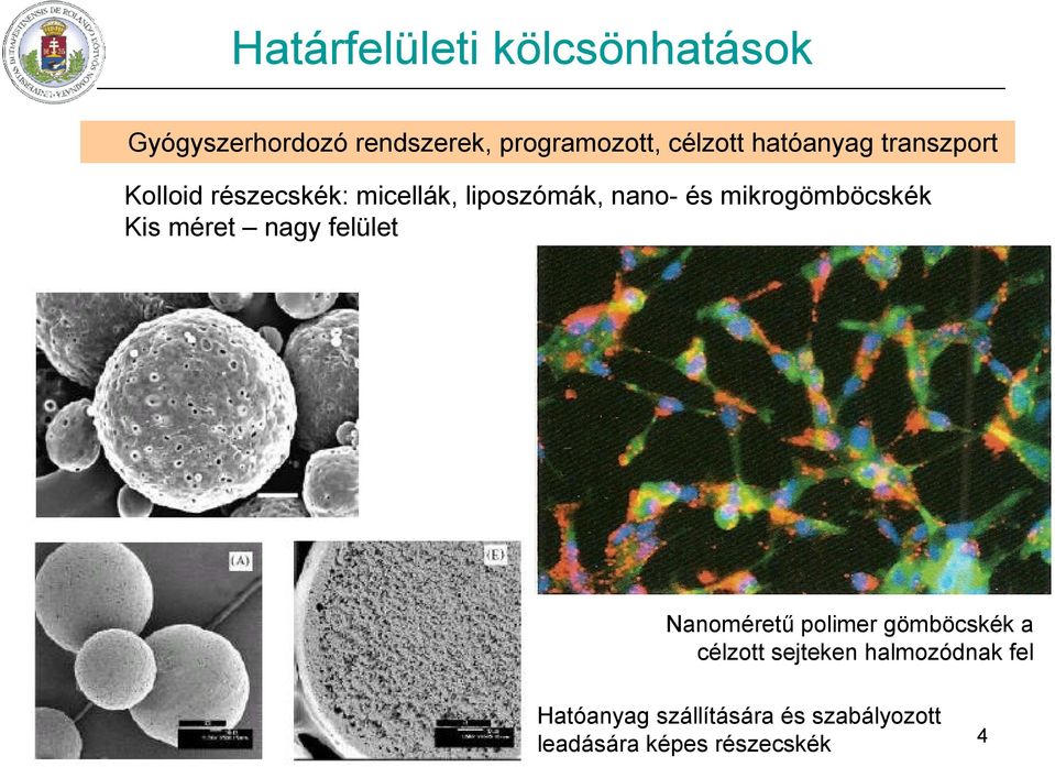 mikrogömböcskék Kis méret nagy felület Nanoméretű polimer gömböcskék a célzott