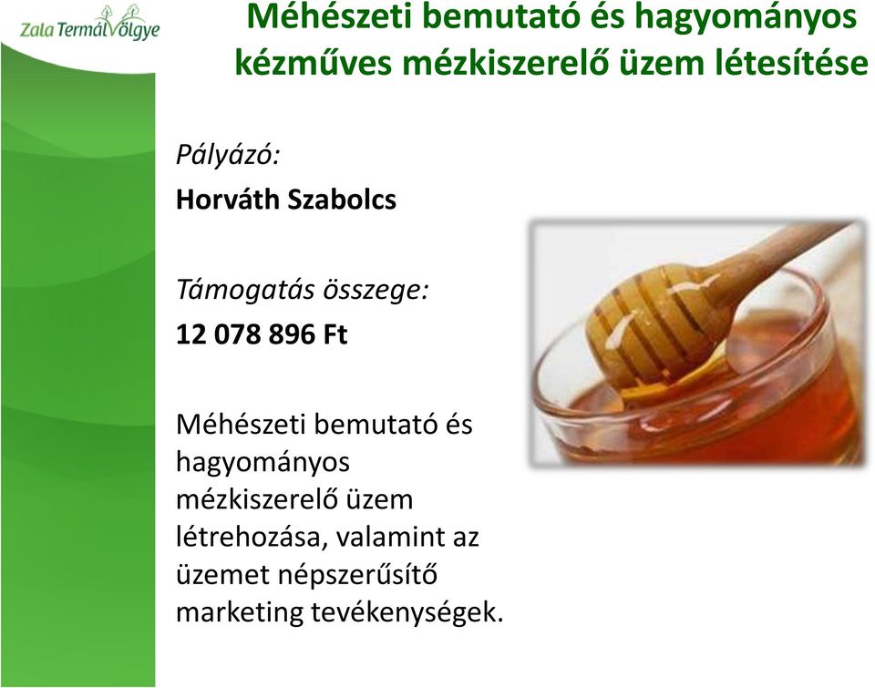 Méhészeti bemutató és hagyományos mézkiszerelő üzem