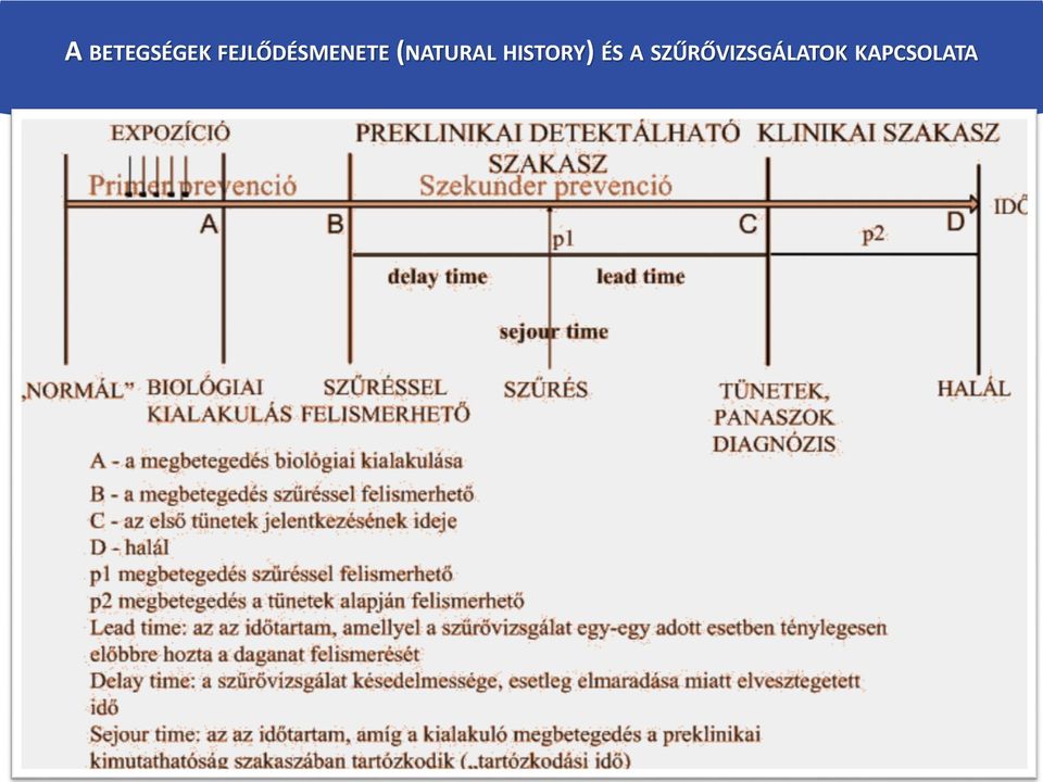 (NATURAL HISTORY)