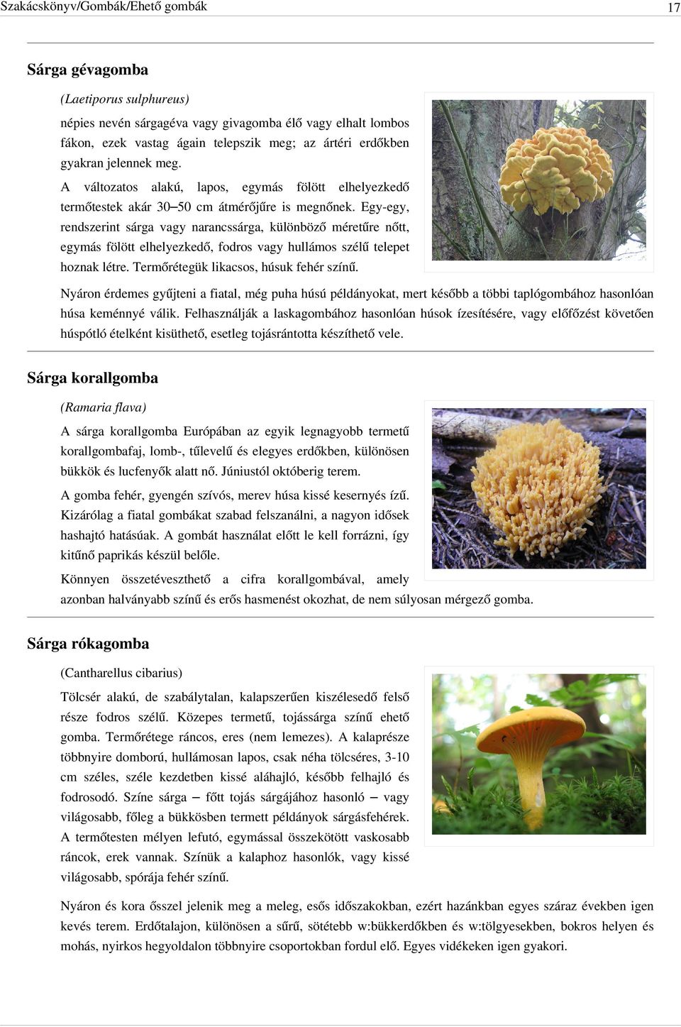 Egy-egy, rendszerint sárga vagy narancssárga, különböző méretűre nőtt, egymás fölött elhelyezkedő, fodros vagy hullámos szélű telepet hoznak létre. Termőrétegük likacsos, húsuk fehér színű.