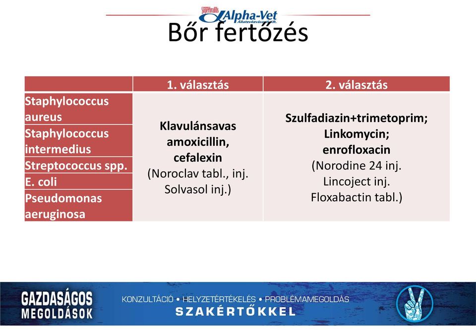 választás Klavulánsavas amoxicillin, cefalexin (Noroclav tabl., inj.