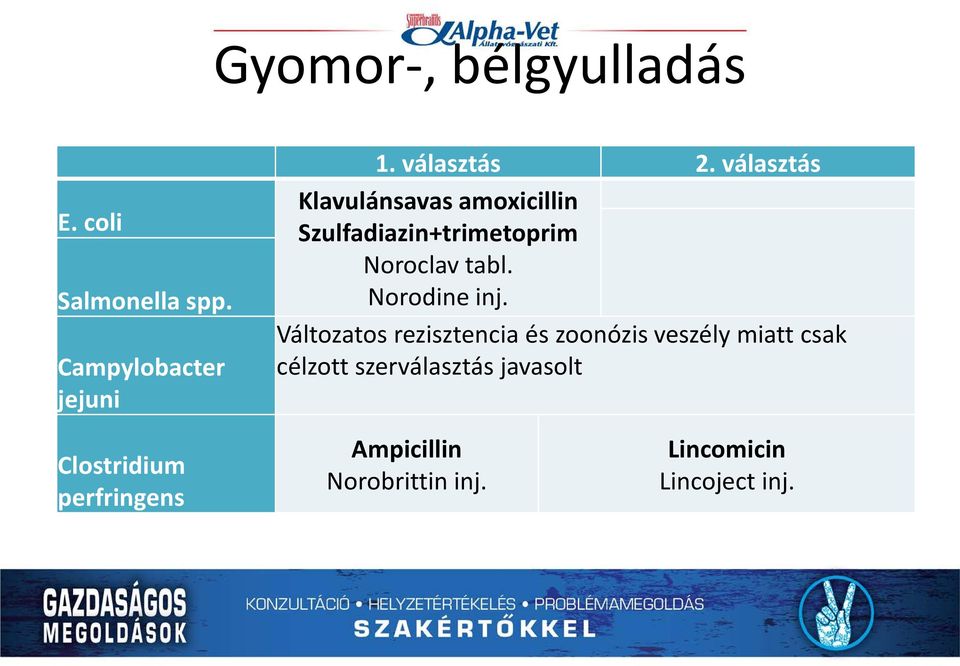 Norodine inj.