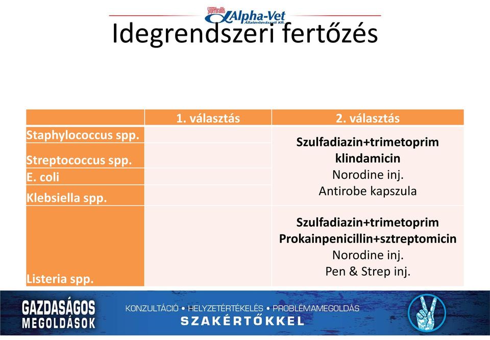 választás Szulfadiazin+trimetoprim klindamicin Norodine inj.