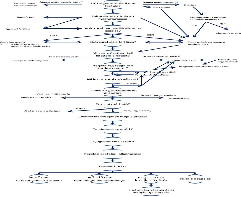 IGEN IGEN NEM Alternatív terápia Empirikus terápia A lehető legszűkebb spektrumú szer kiválasztása Életveszélyes a fertőzés?